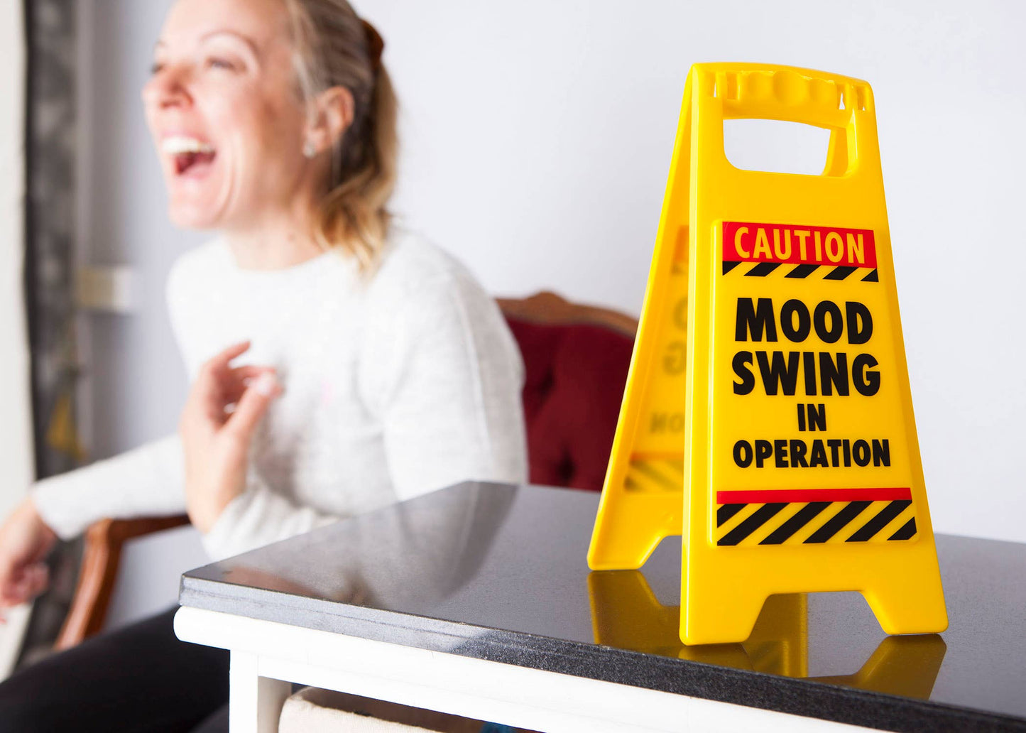 Mood Swing Desk Warning Sign - Novelty/Gag Gifts For Adults