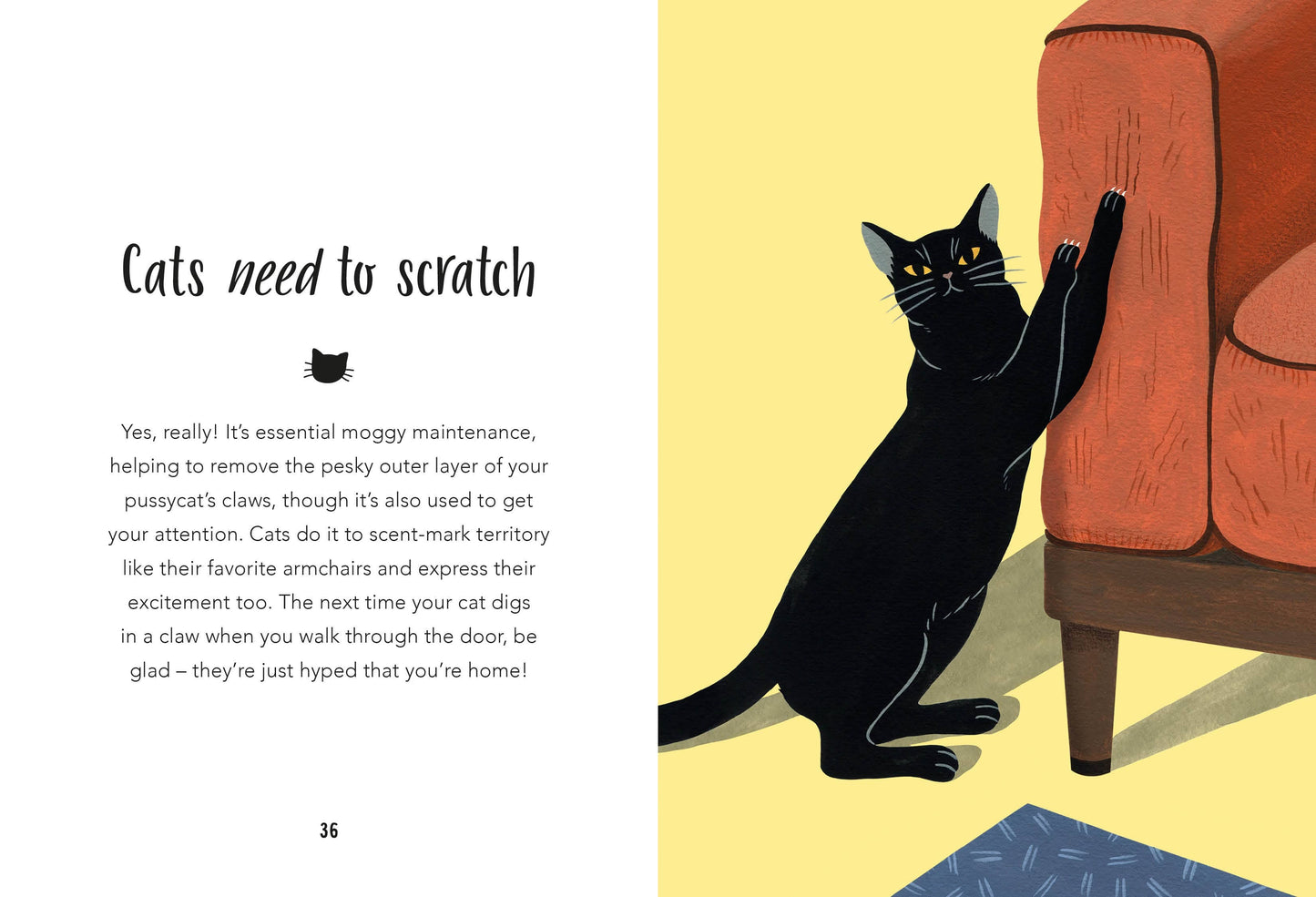 59 Things You Should Know About Your Cat