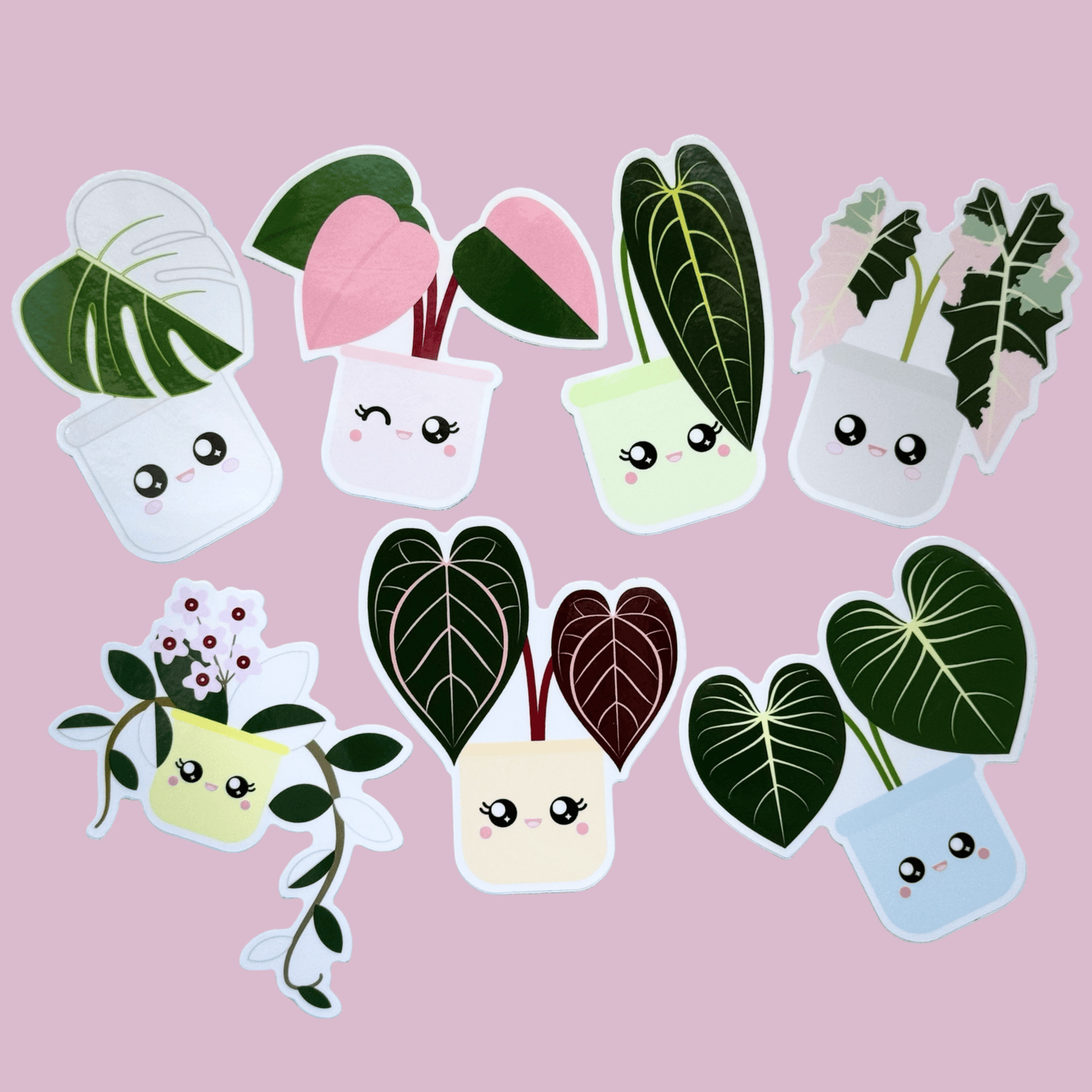 Philodendron gloriosum Plant Sticker