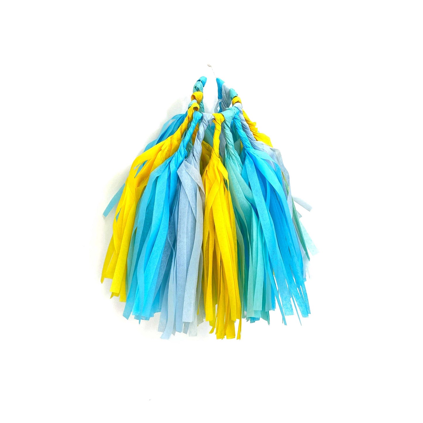 Poolside Tassel Garland Kit