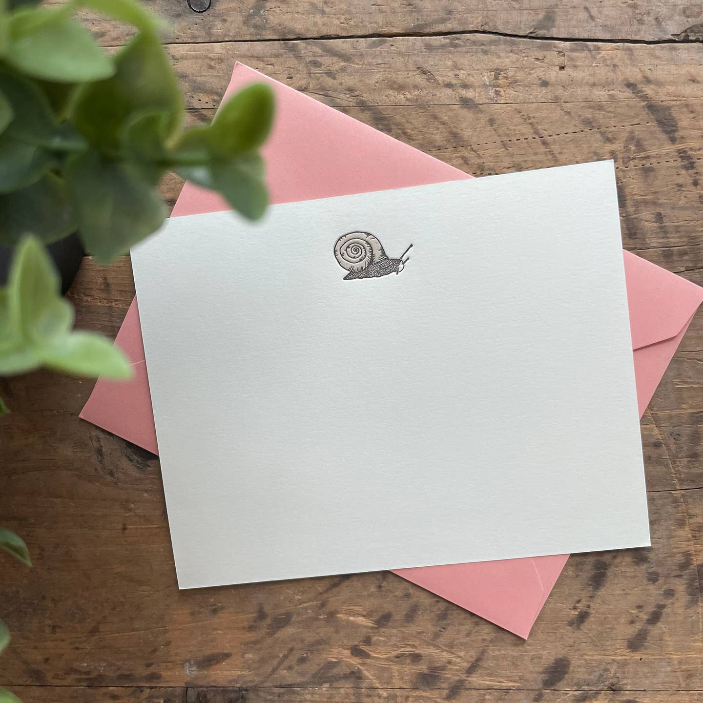 Snail Notecard