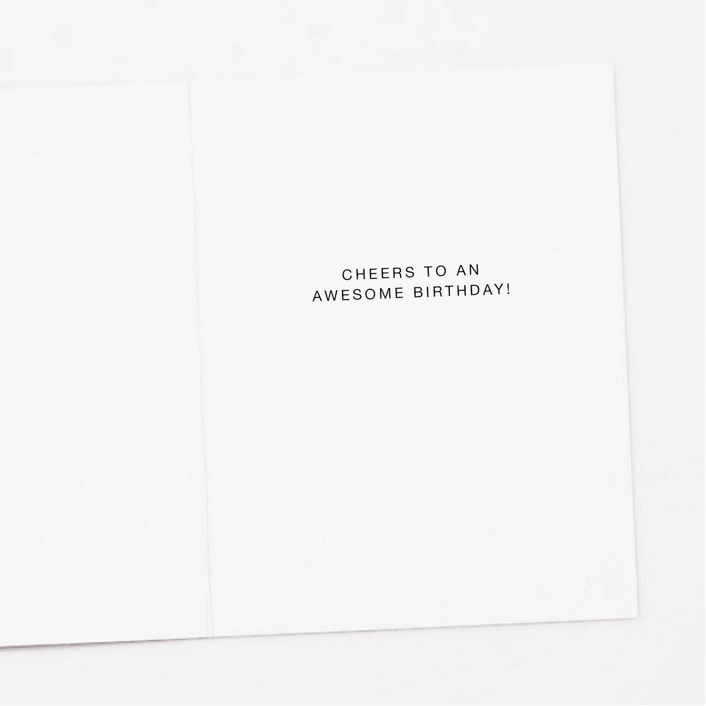 Raccoon with Balloons Birthday Greeting Card