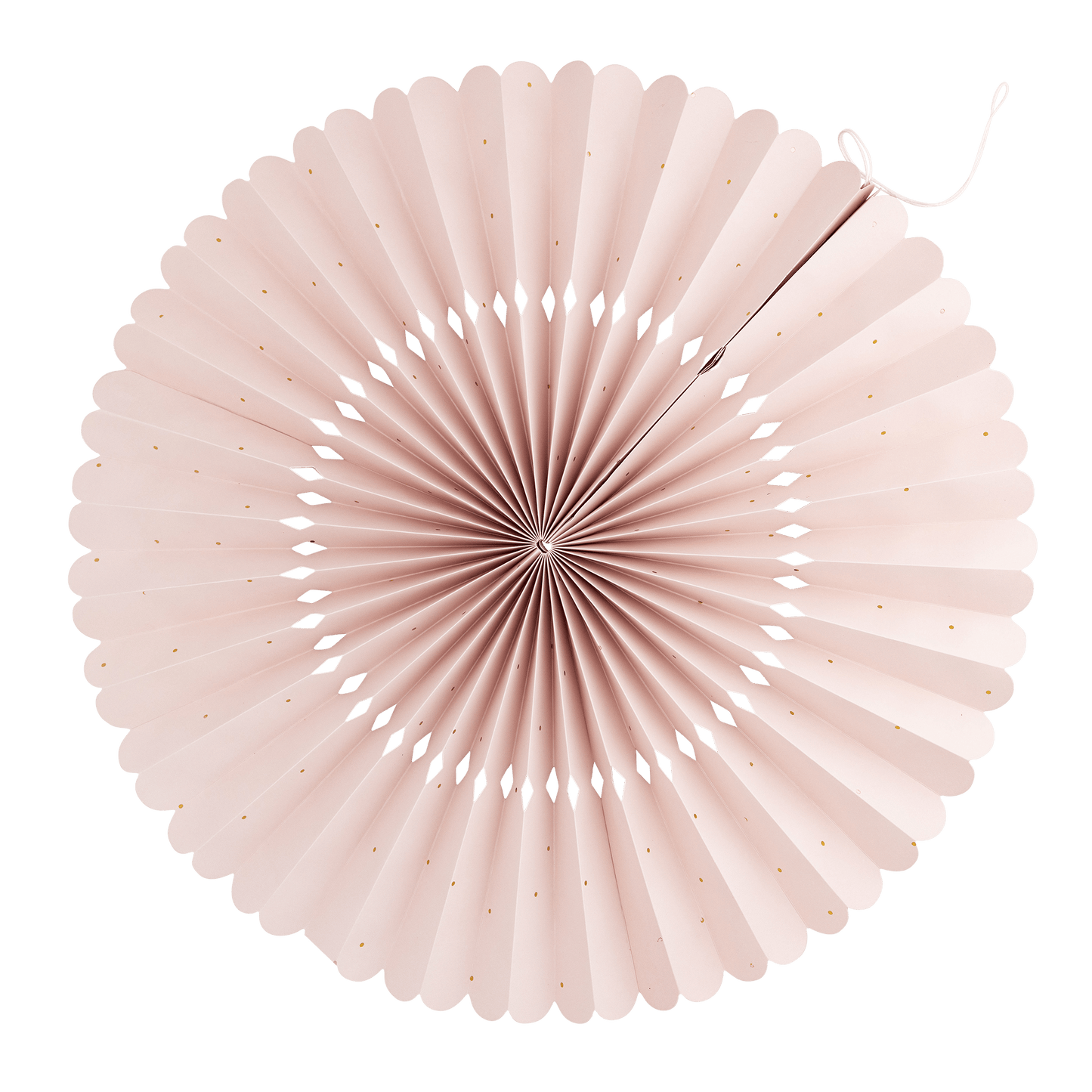 Under the Sea Fan Set