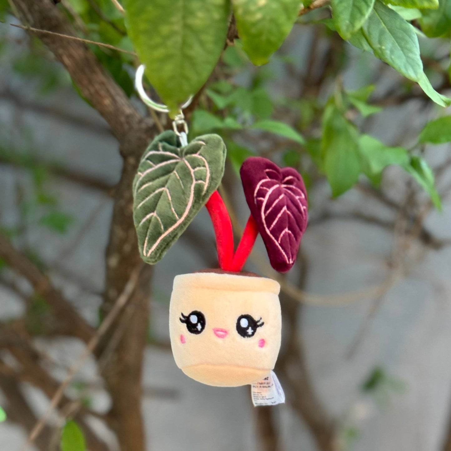 Plush Keychain: Anthurium Red Crystallinum