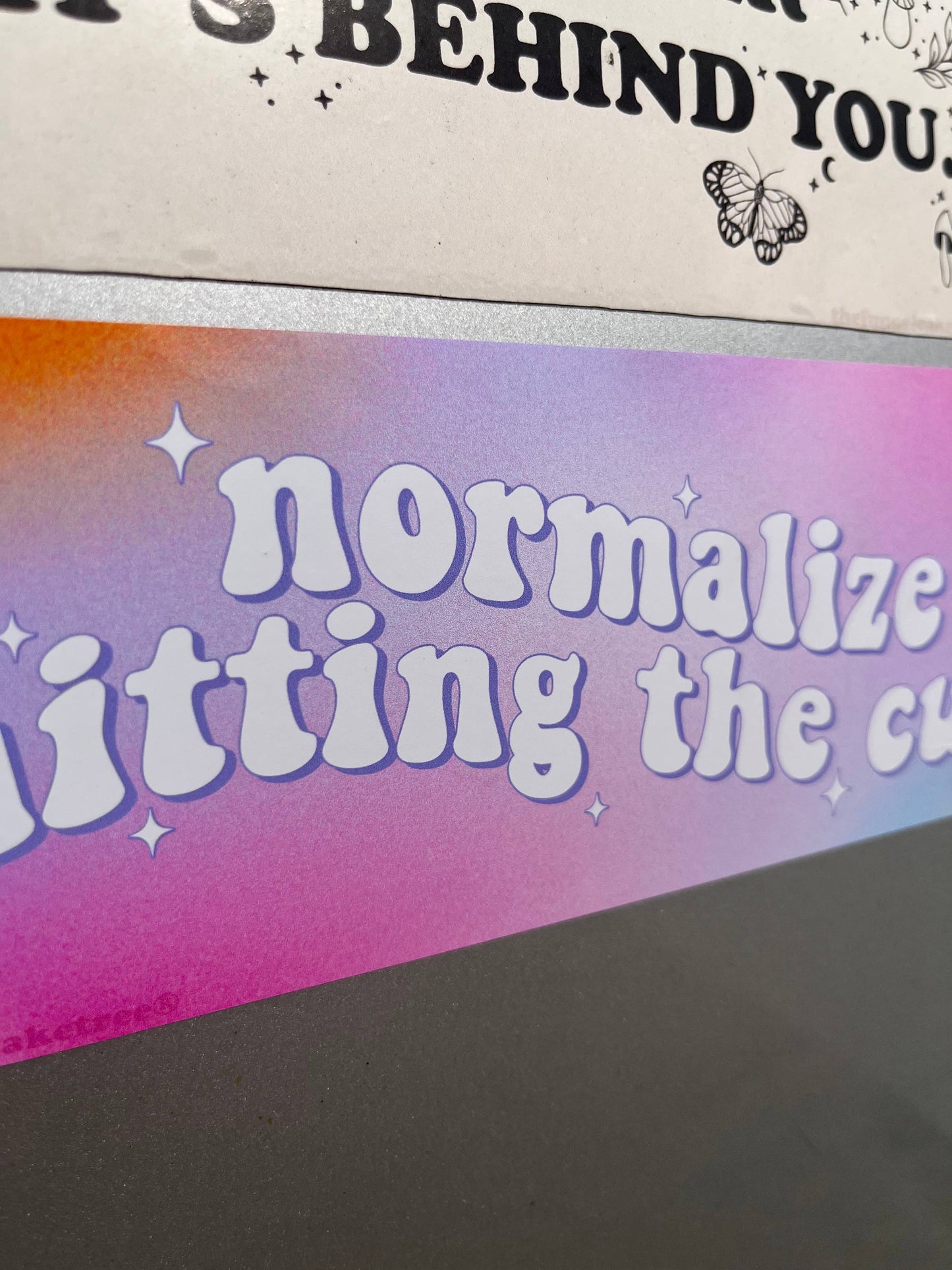 Normalize Hitting The Curb Bumper Sticker 🚗