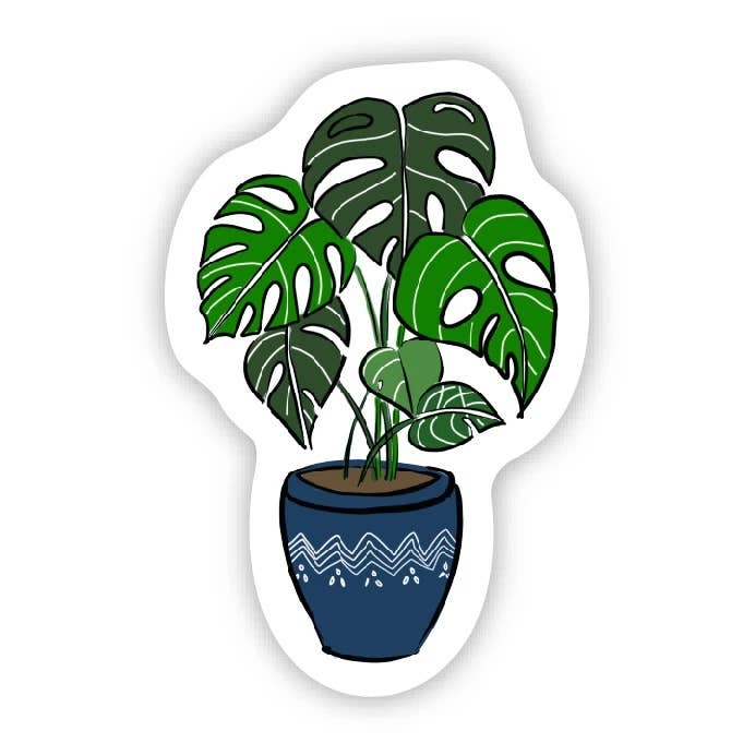Houseplant - Blue Pot