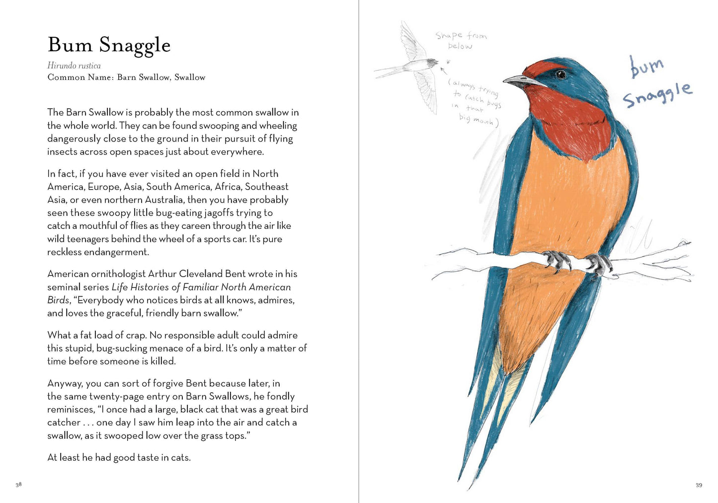 Dumb Birds Field Guide to the Worst Birds Ever