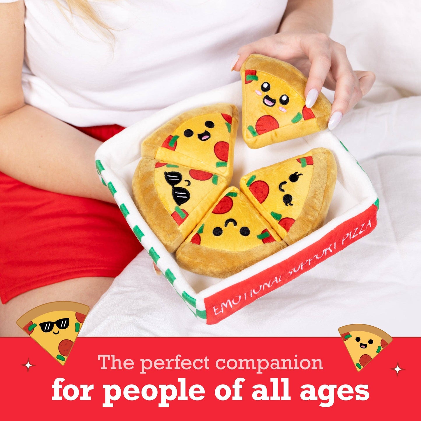 Emotional Support Pizza - Set of 5 Slices
