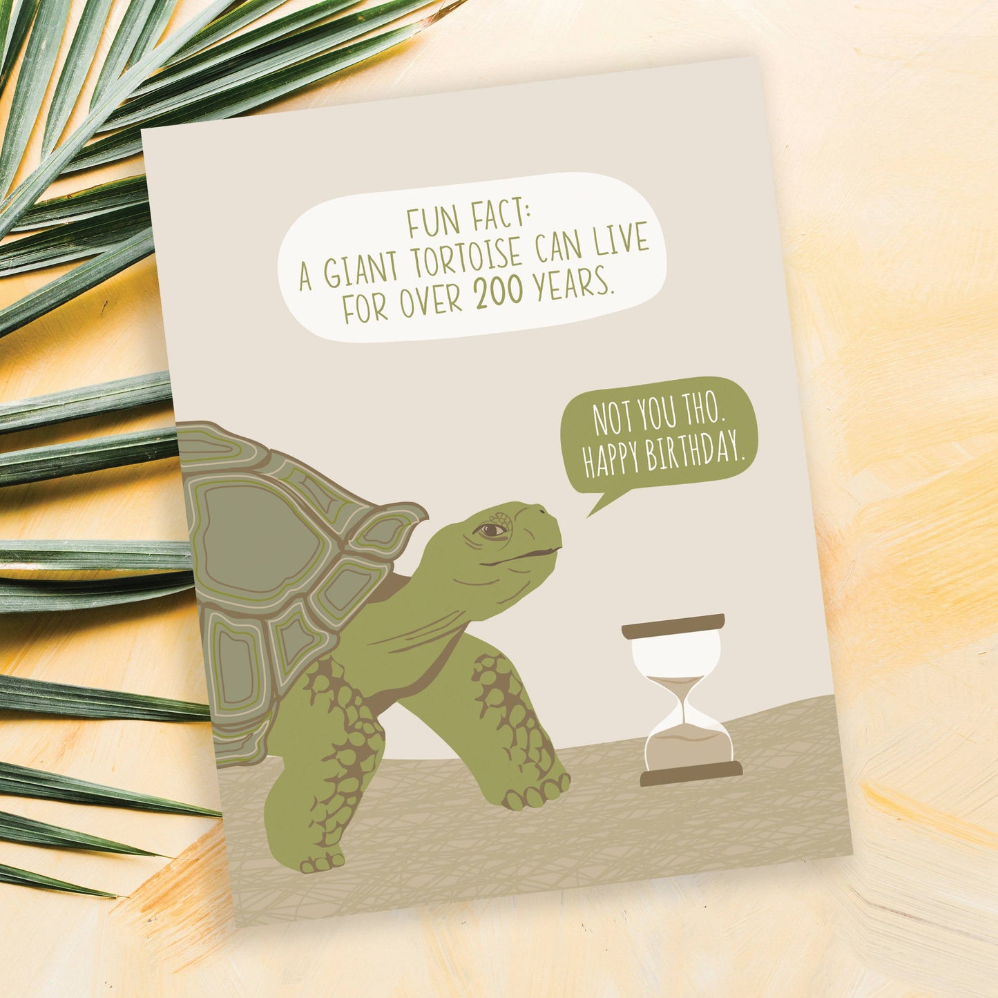 Fun Fact Tortoise Fact Funny Birthday Card