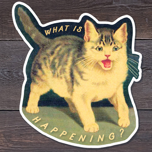 What is Happening? Screaming Cat Sticker