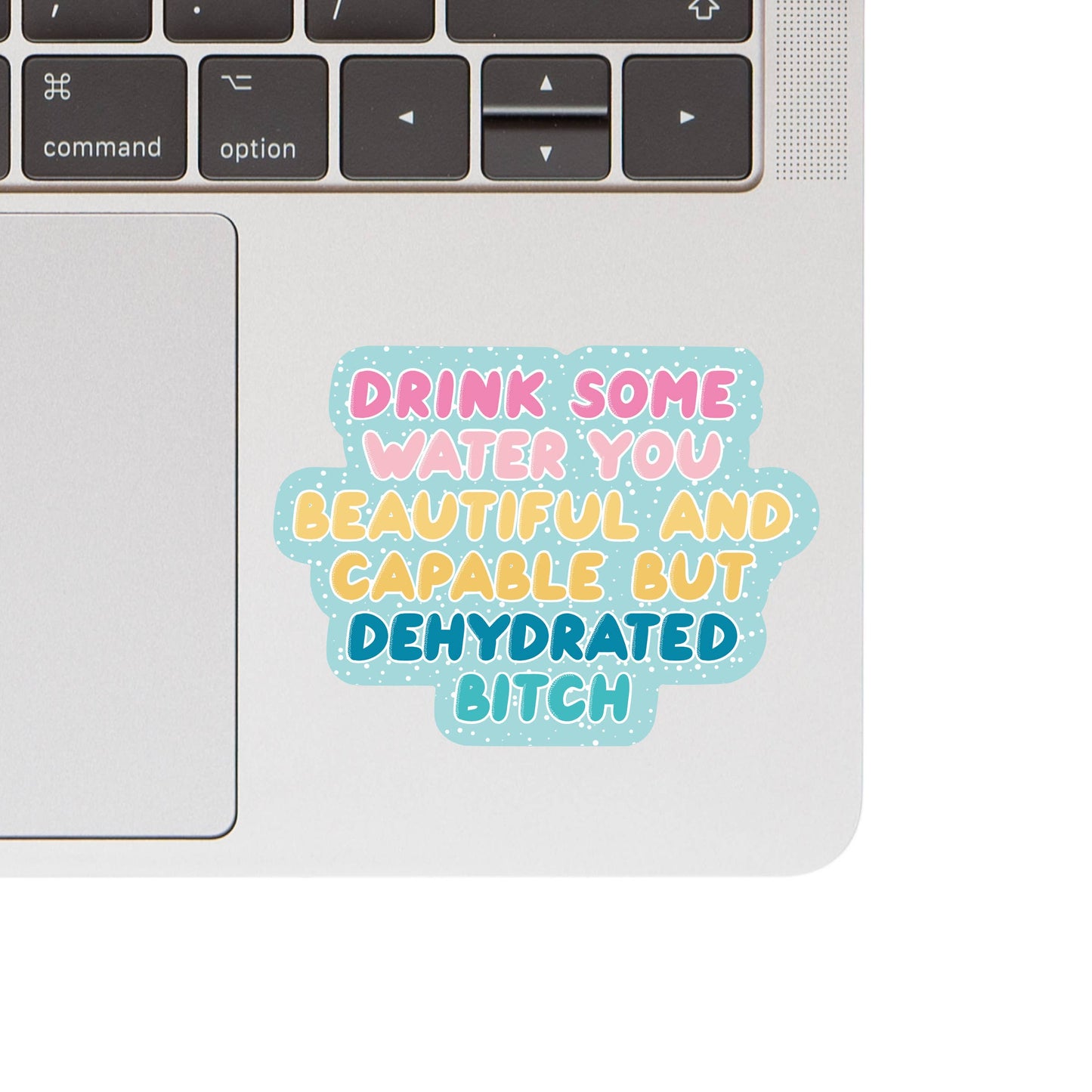 Drink Some Water You Beautiful and Capable...Sticker