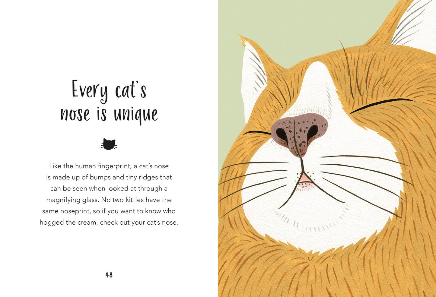 59 Things You Should Know About Your Cat