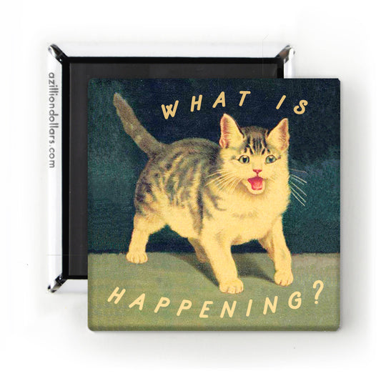 What is Happening? Screaming Cat Magnet