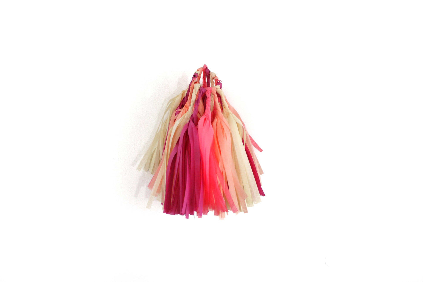 Macaron Tissue Tassel Kit