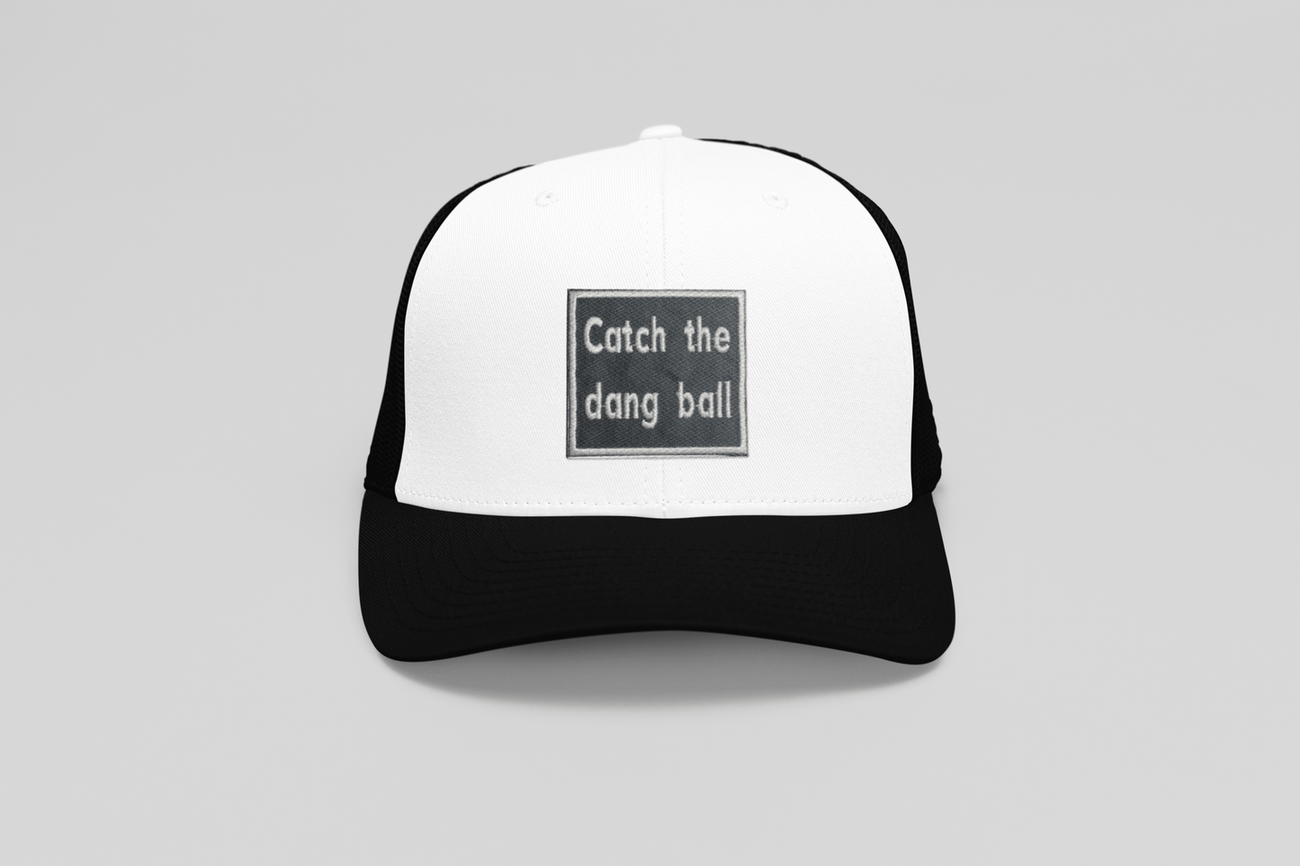 Catch the Dang Ball, Iron on Patch, Hat Bar
