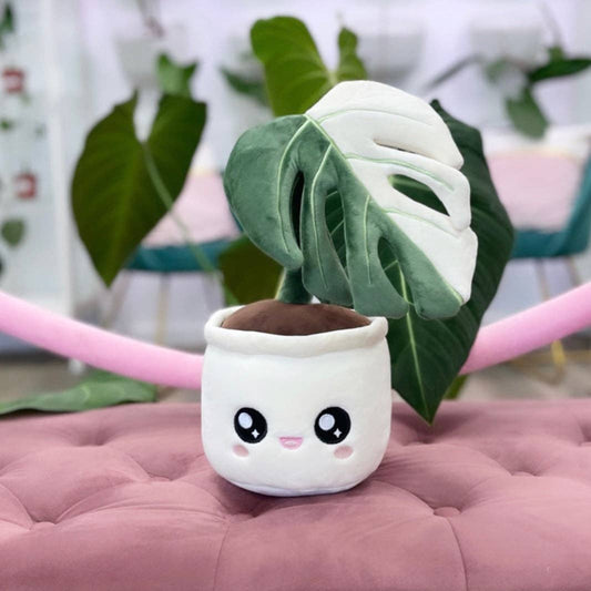 Monstera Deliciosa Albo Variegata Plushie