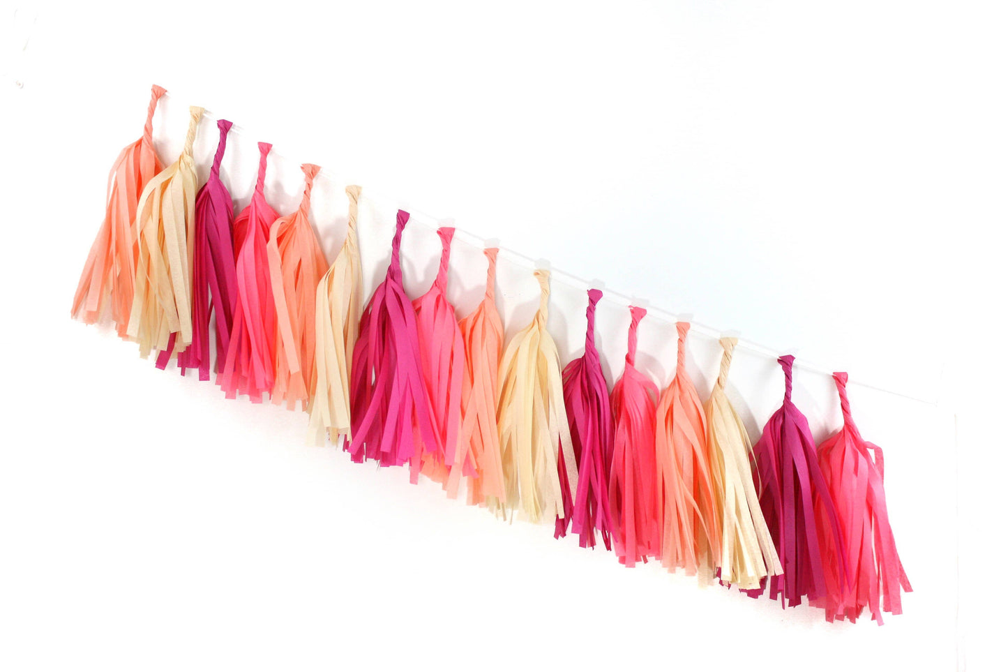 Macaron Tissue Tassel Kit