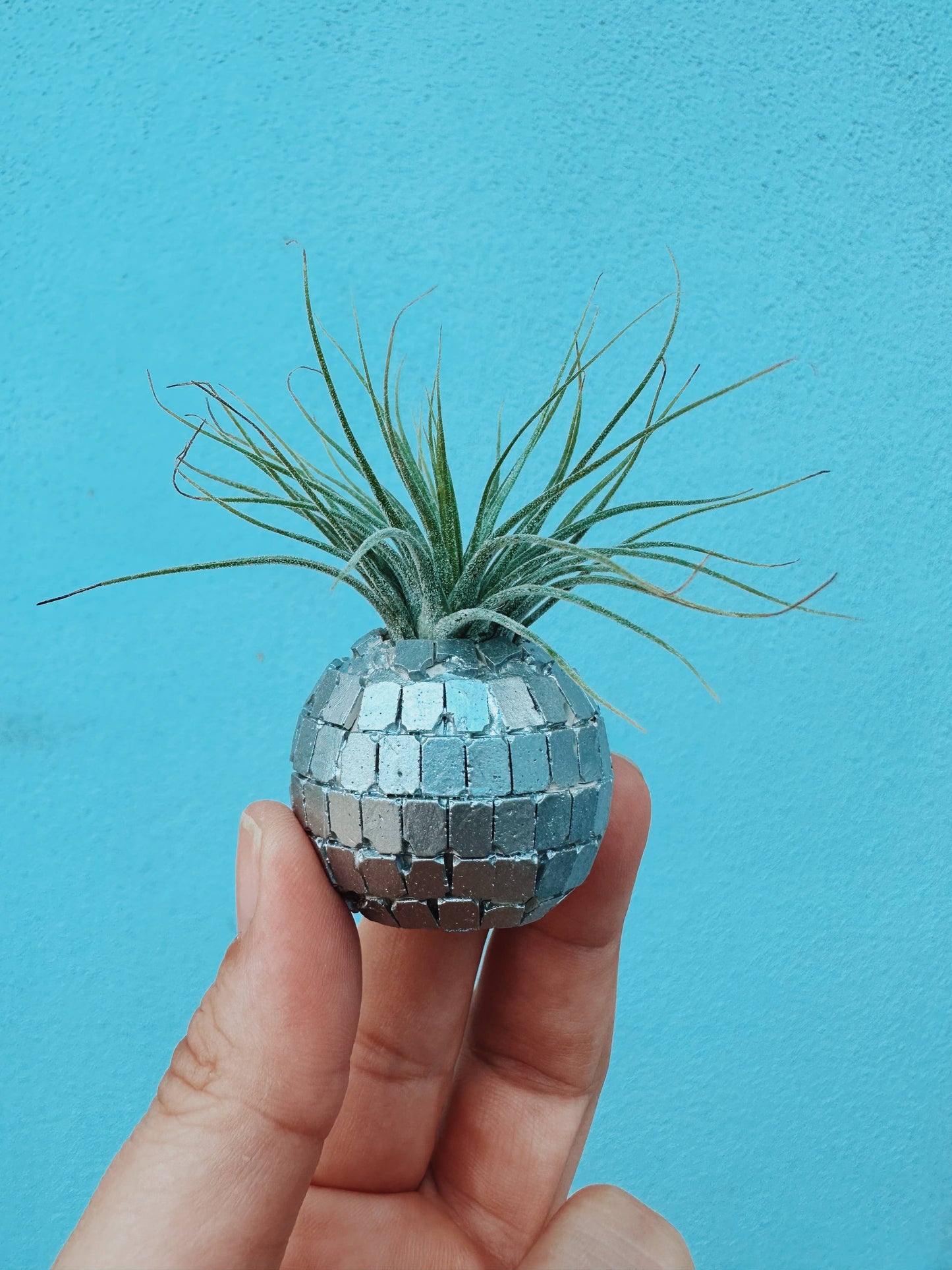 Disco Ball Mini Planter and Plant