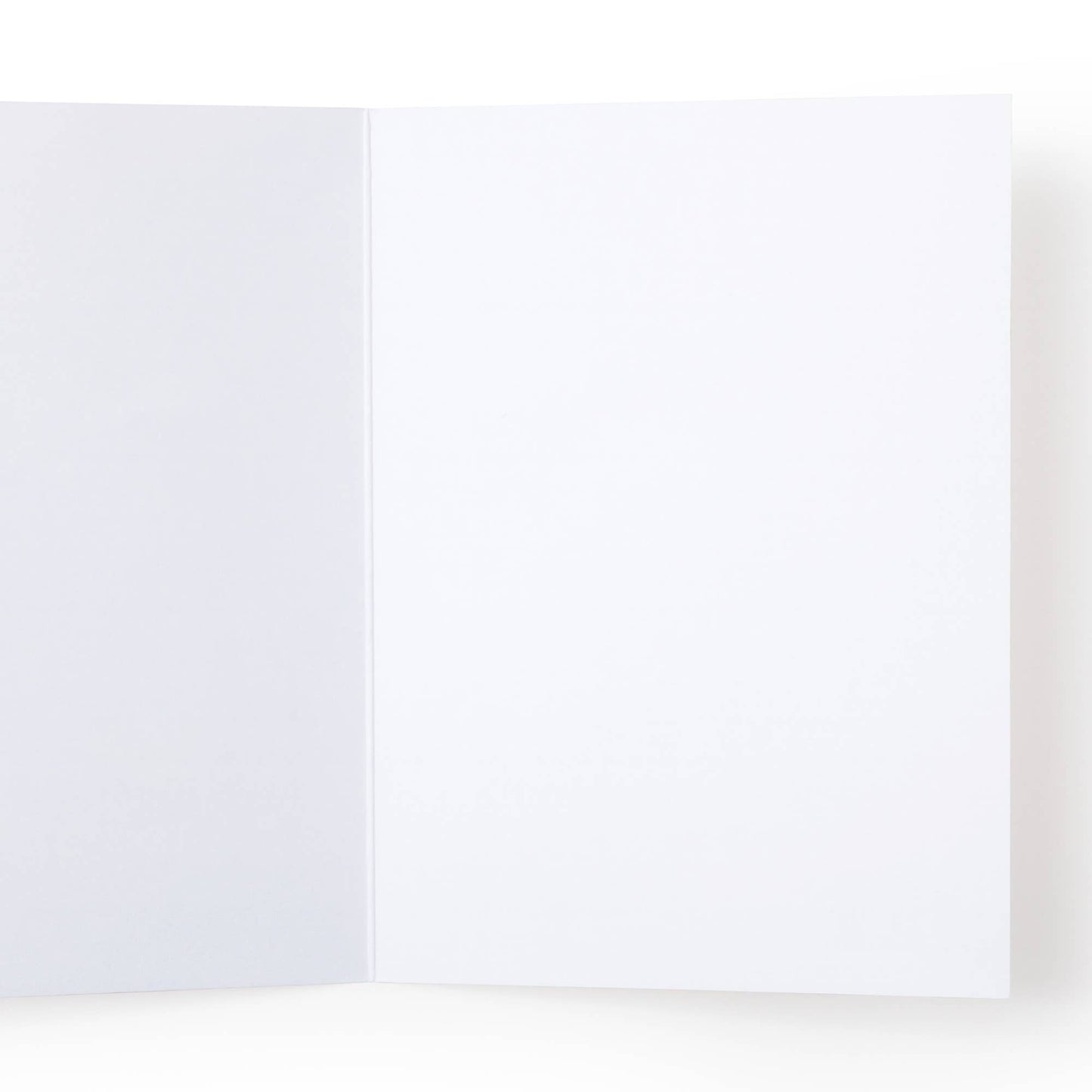 Cheers to You Party Streamers Greeting Card