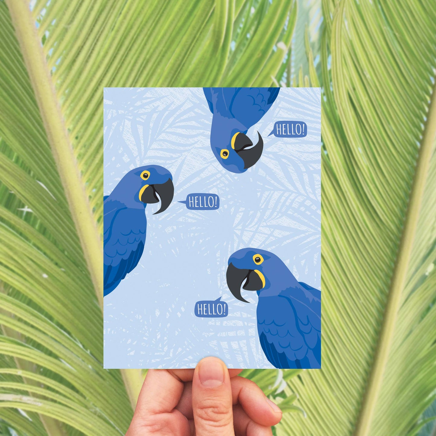 Hello Macaws Birds Card