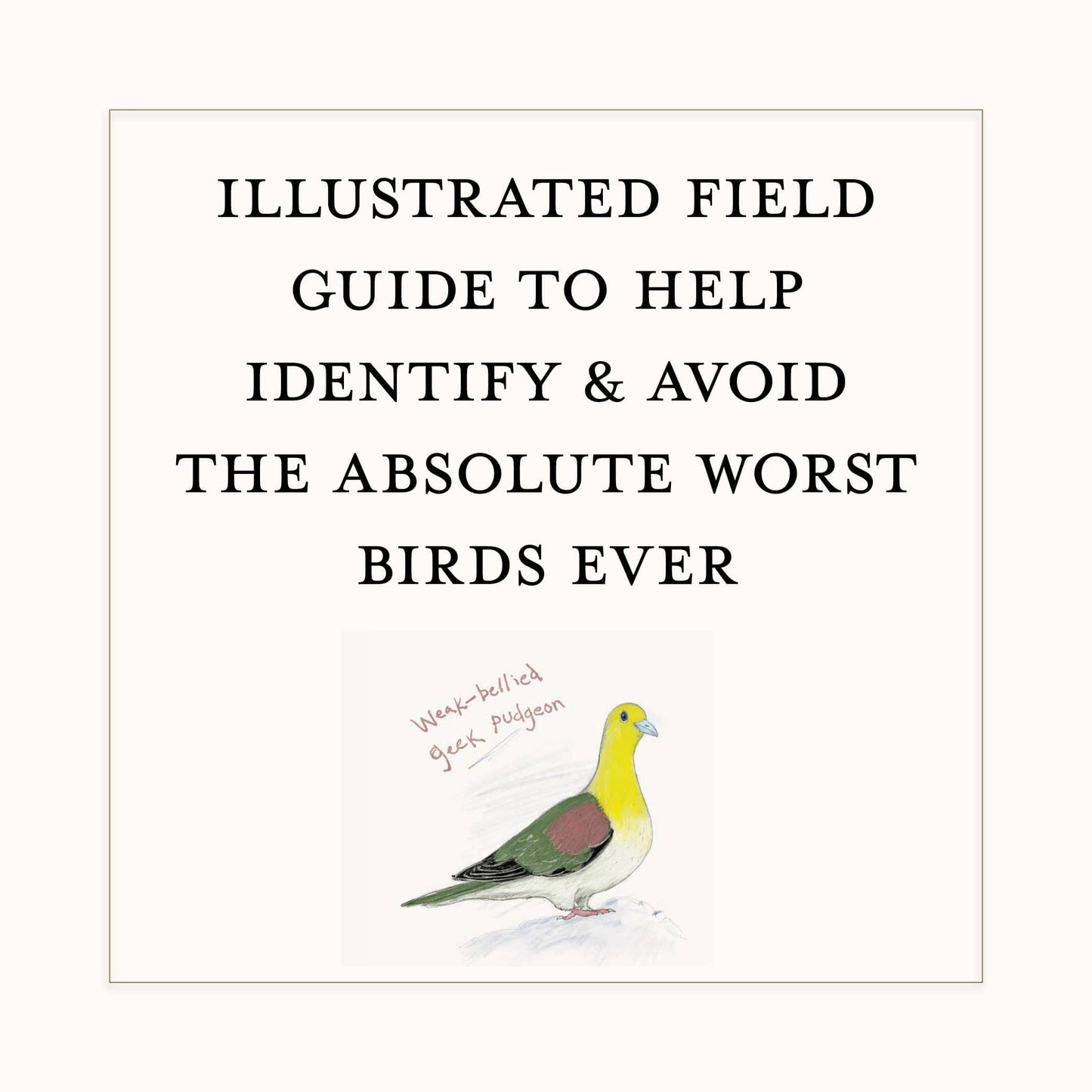 Dumb Birds Field Guide to the Worst Birds Ever