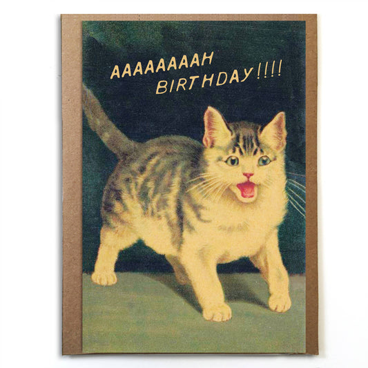 Aaaaaaaaah Birthday!!!! Funny Cat Card