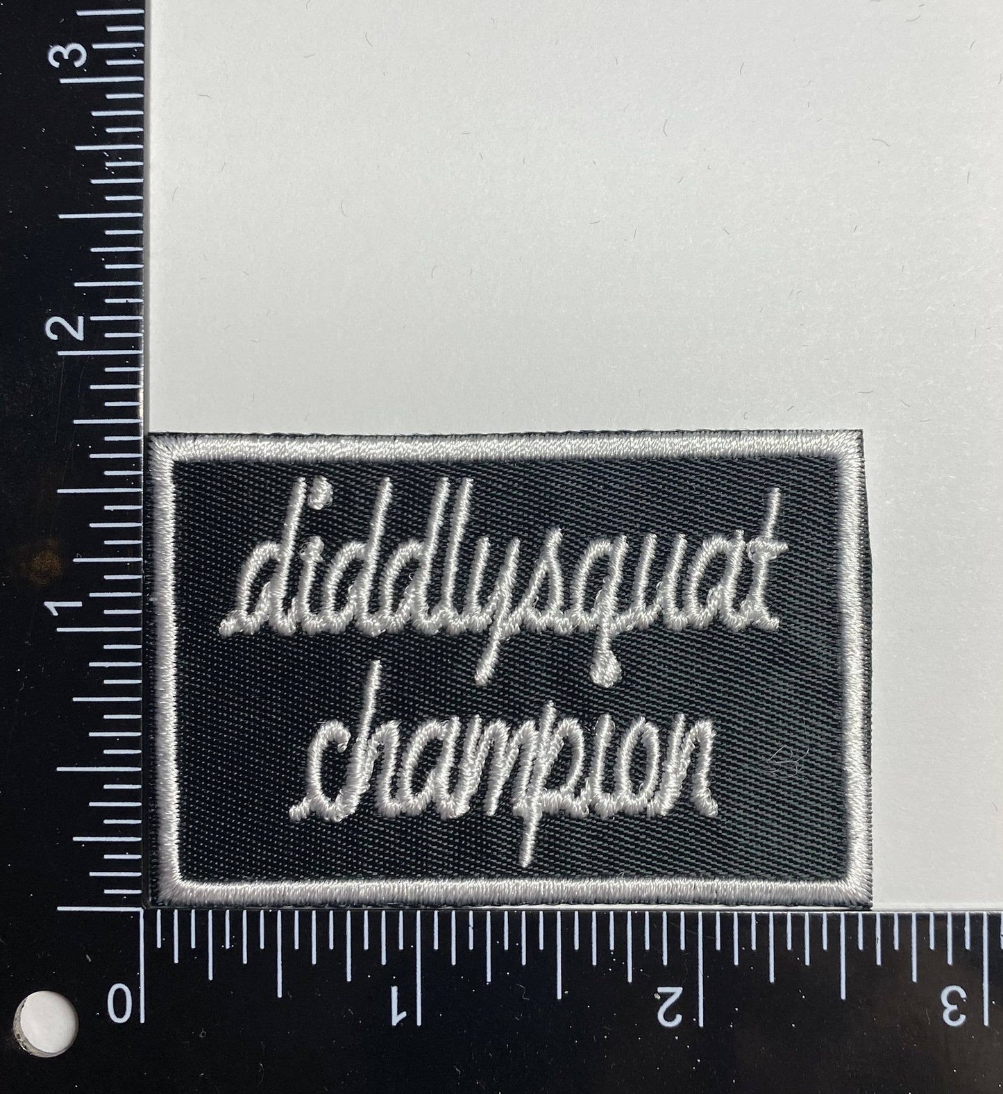 Diddlysquat Champion, Sarcastic, Iron on Patch, Hat Bar