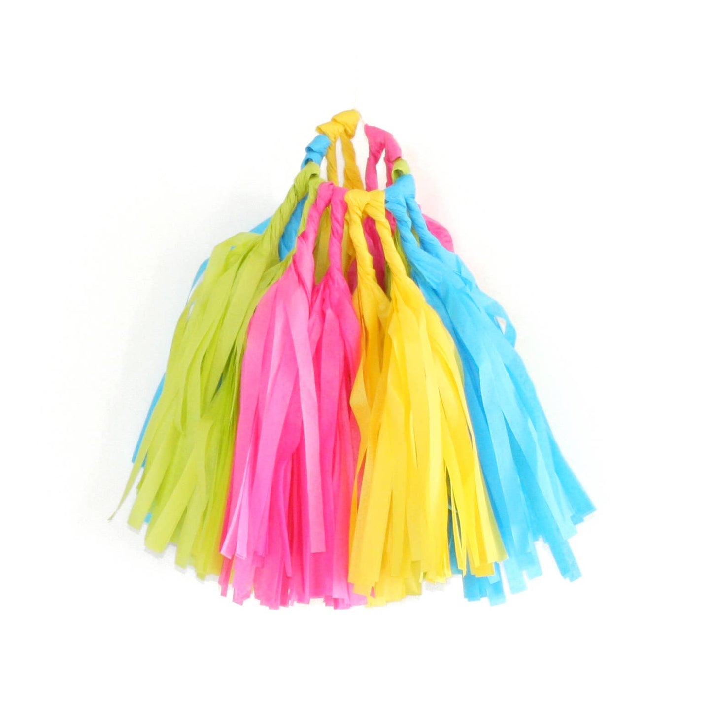 Neon Tassel Garland Kit