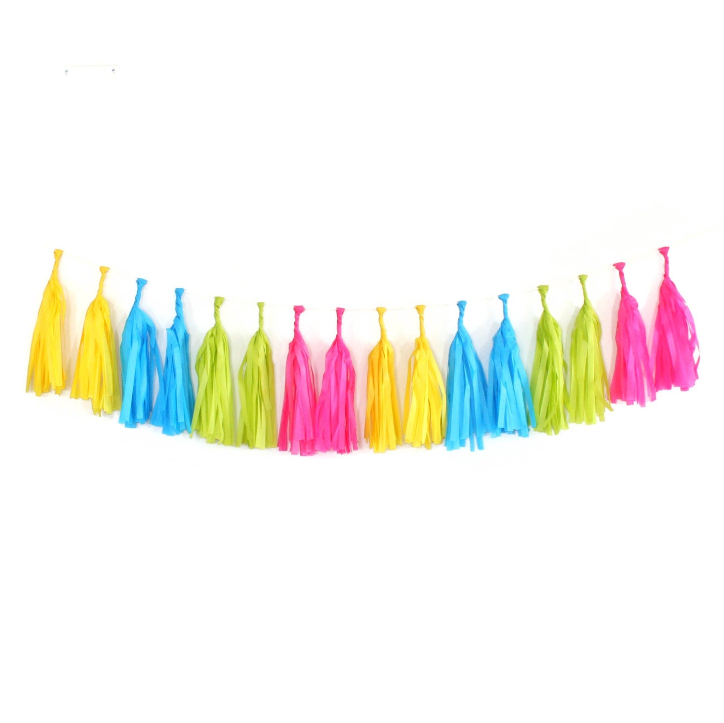 Neon Tassel Garland Kit