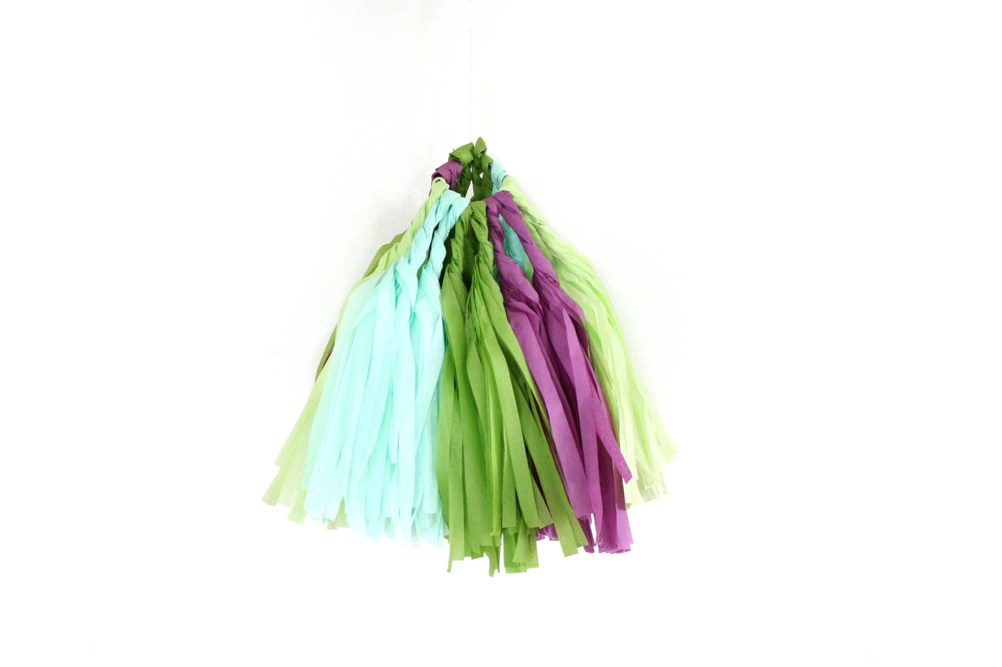 Succulent Tissue Garland Kit