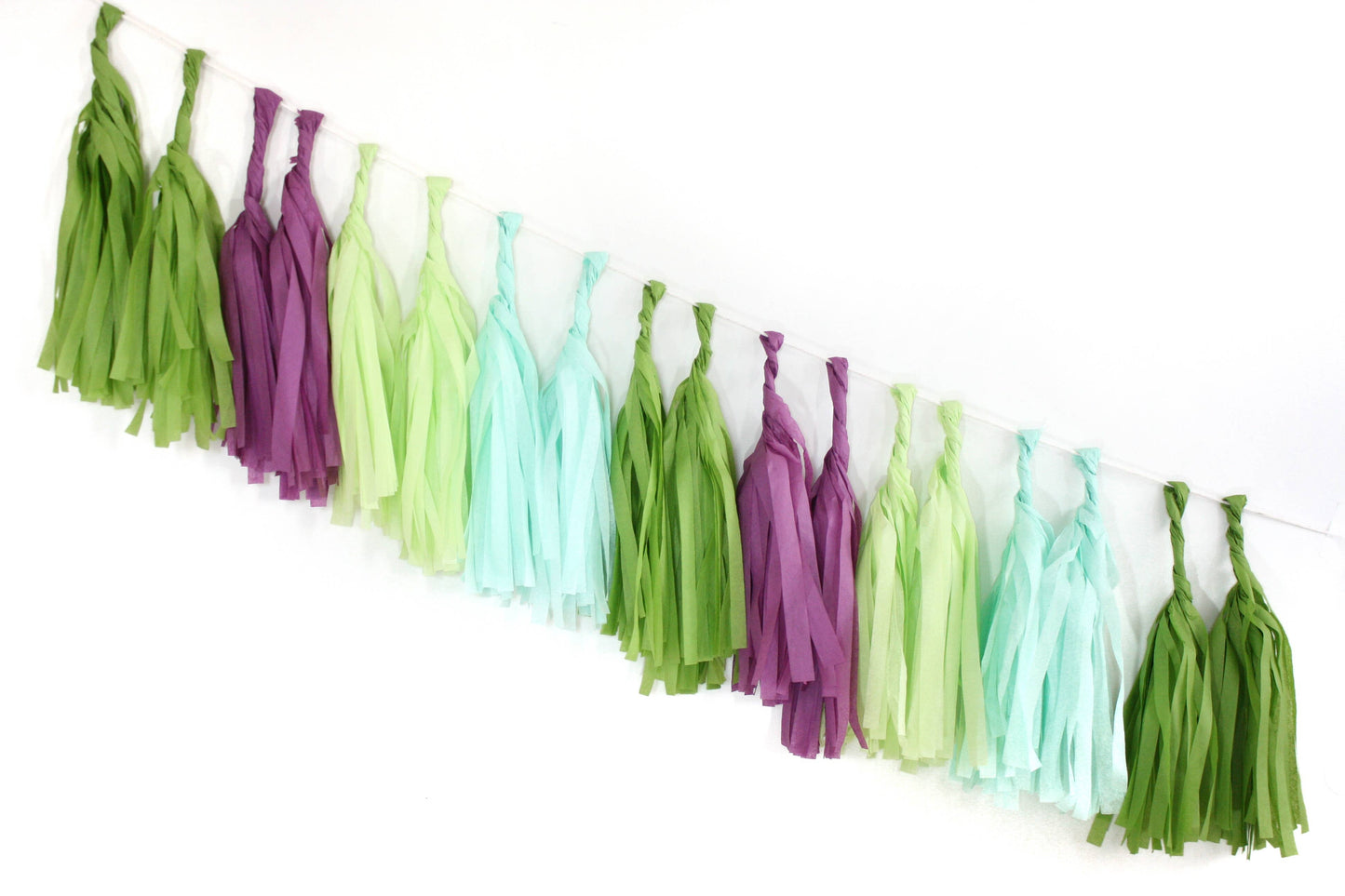 Succulent Tissue Garland Kit