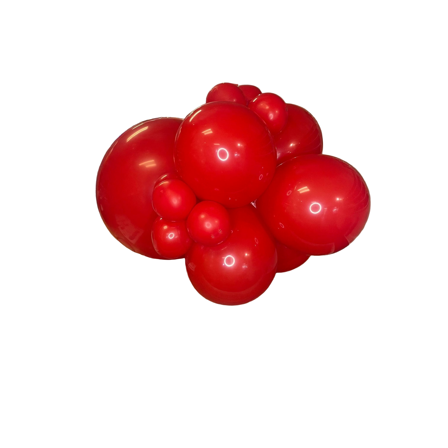 DIY Balloon Garland Kit