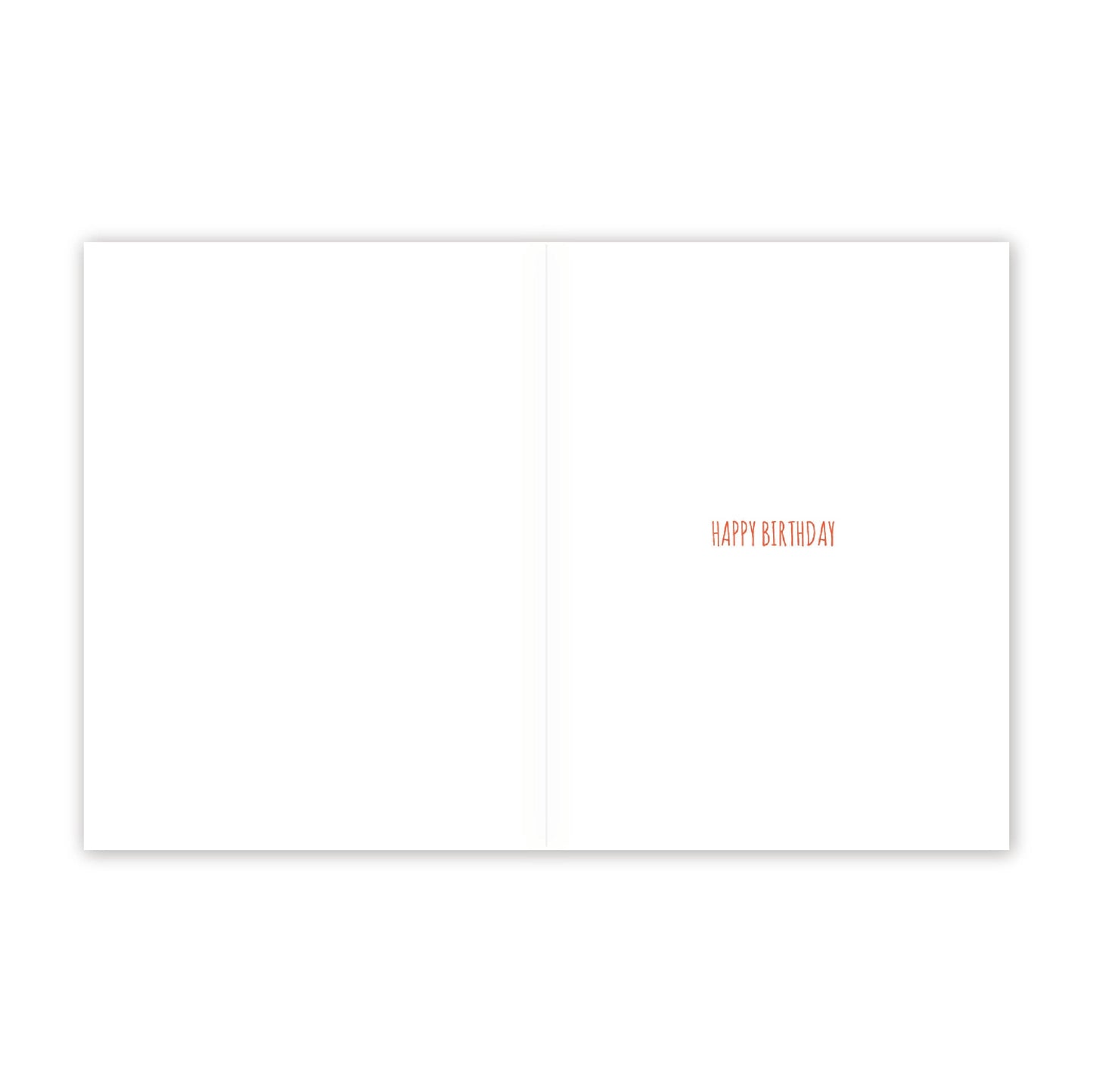 Let's Party Raccoon Card