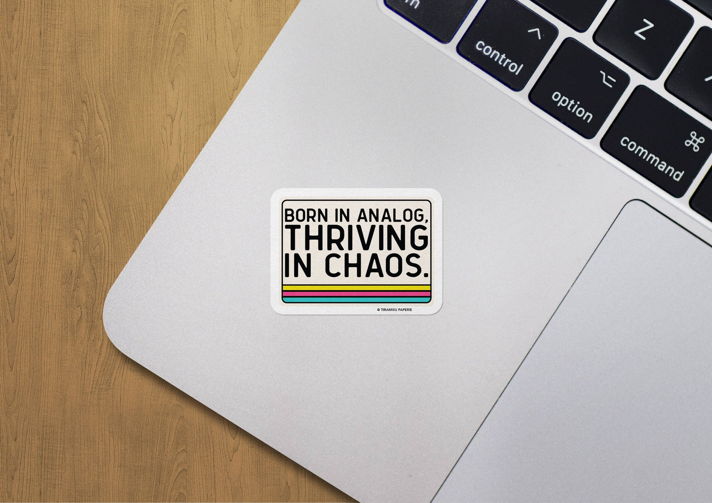 Born in Analog Thriving in Chaos, Gen X Sticker