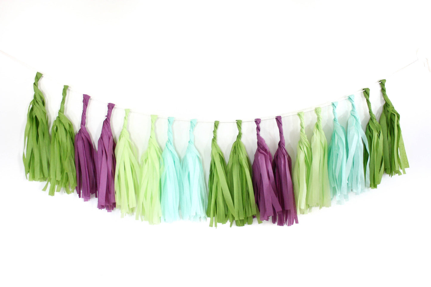 Succulent Tissue Garland Kit