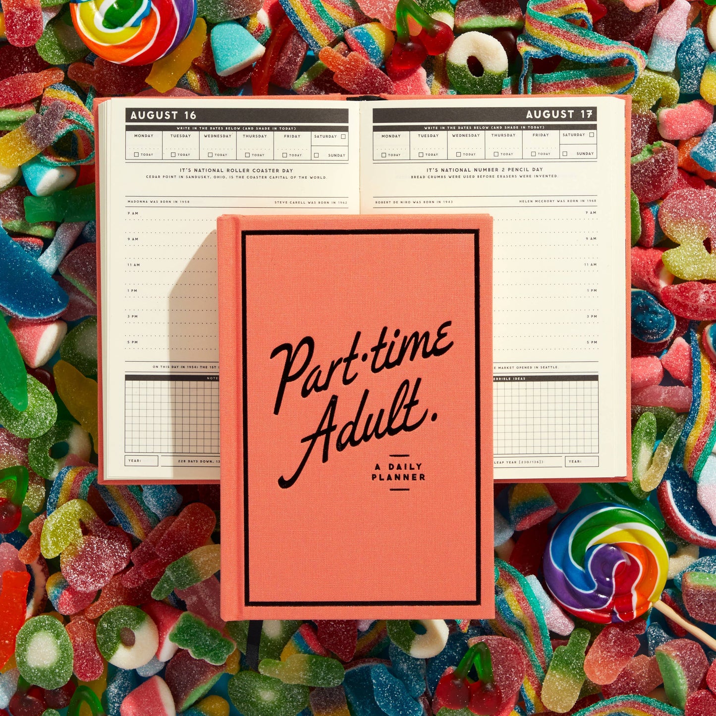 Brass Monkey Part-Time Adult Undated Daily Planner