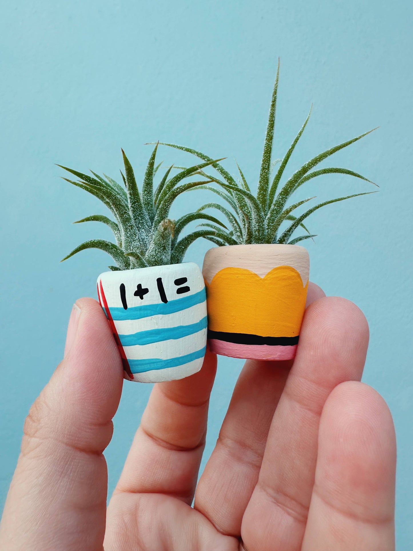 #2 Pencil Mini Planter and Air Plant