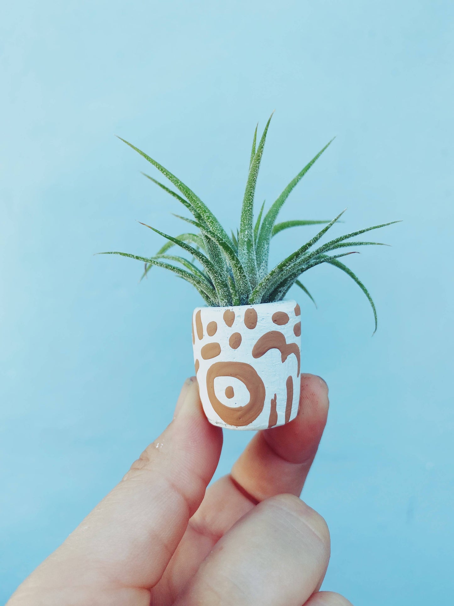 The San Diego Mini Planter