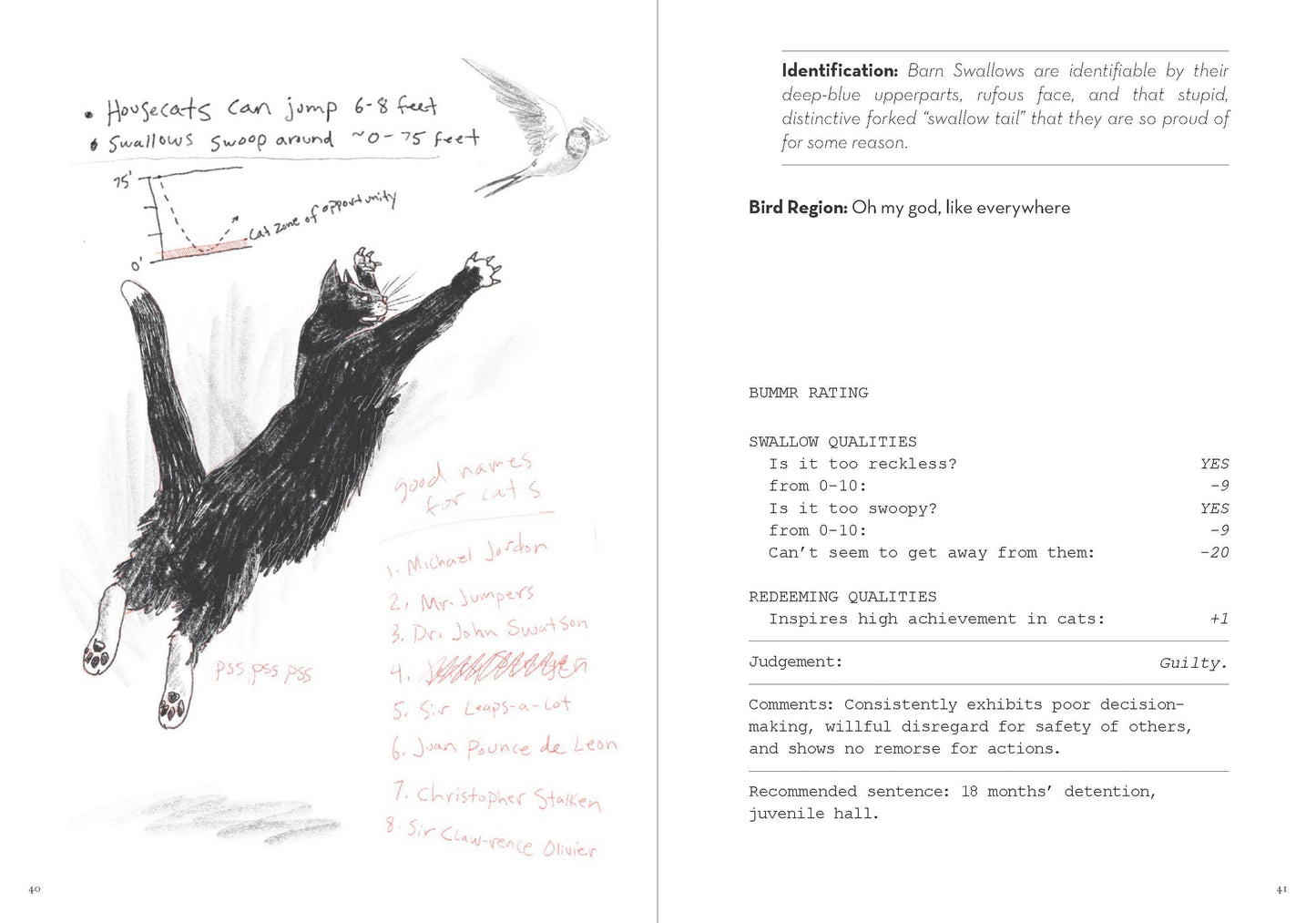 Dumb Birds Field Guide to the Worst Birds Ever