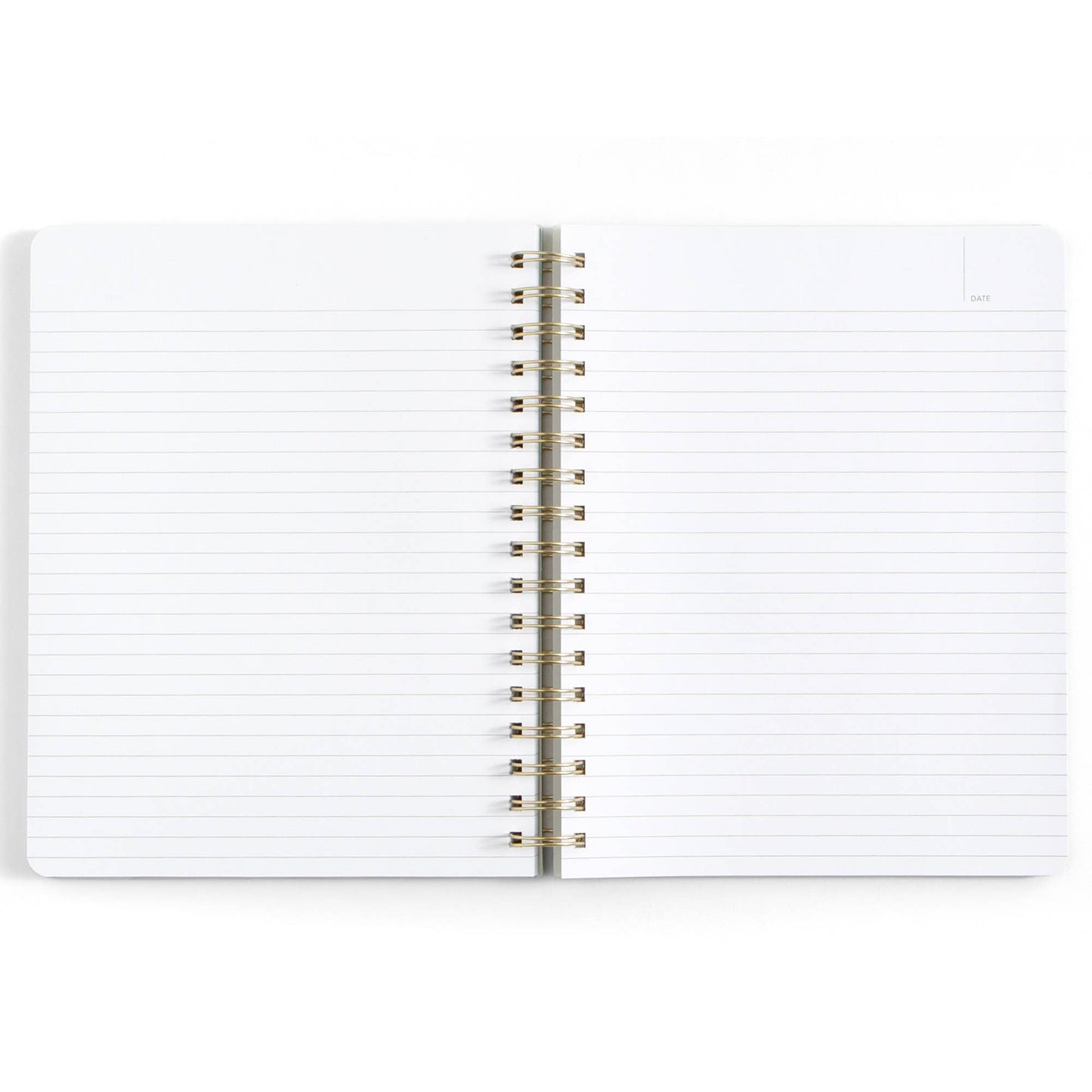 Professional Overachiever Spiral Notebook