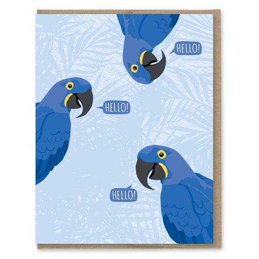 Hello Macaws Birds Card