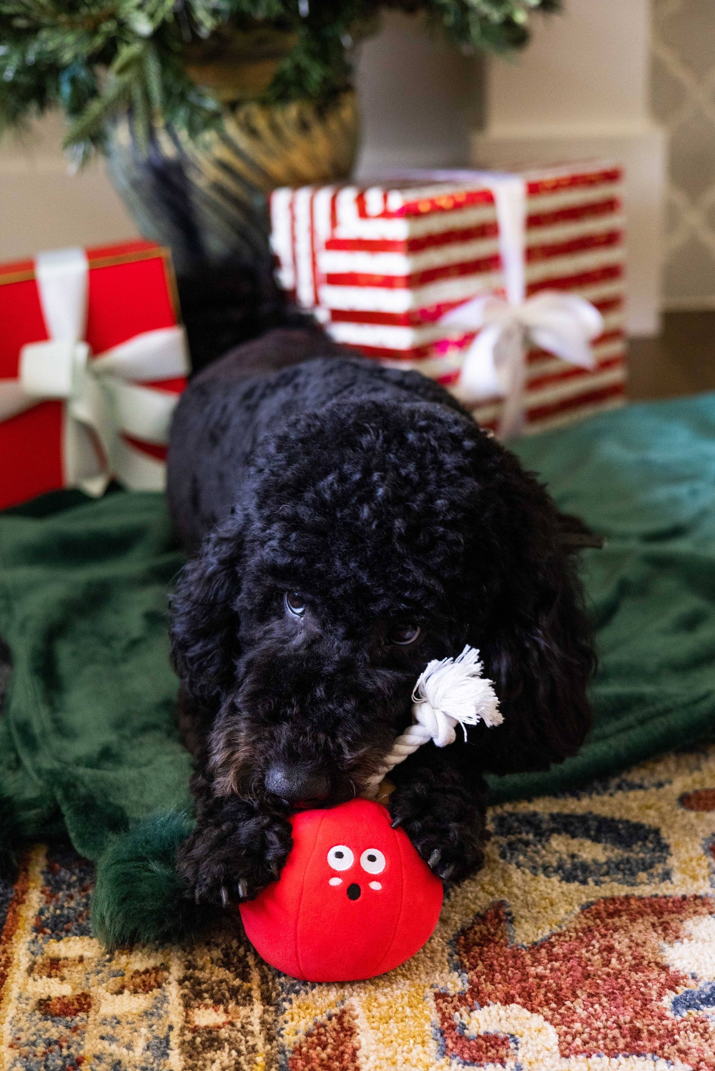 Wrecking Bauble Christmas Dog Toy
