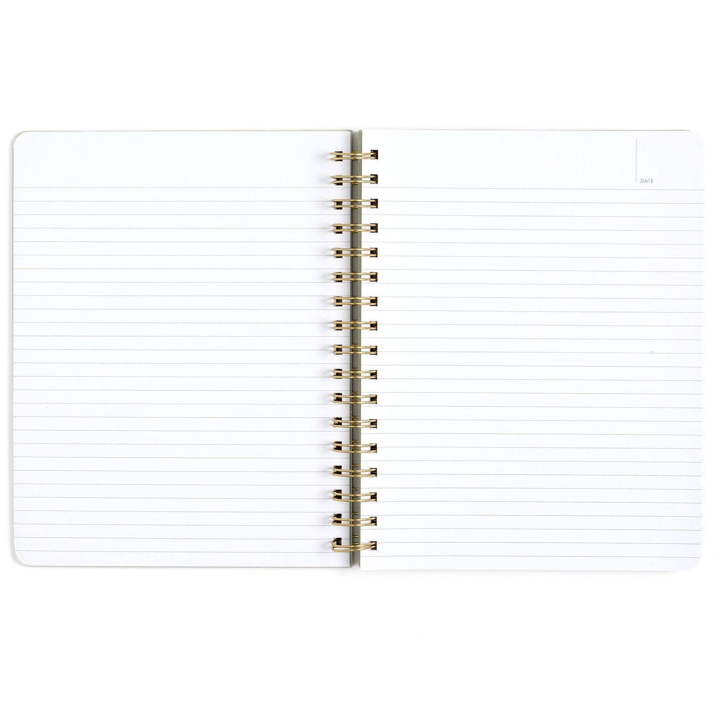 Professional Procrastinator Spiral Notebook