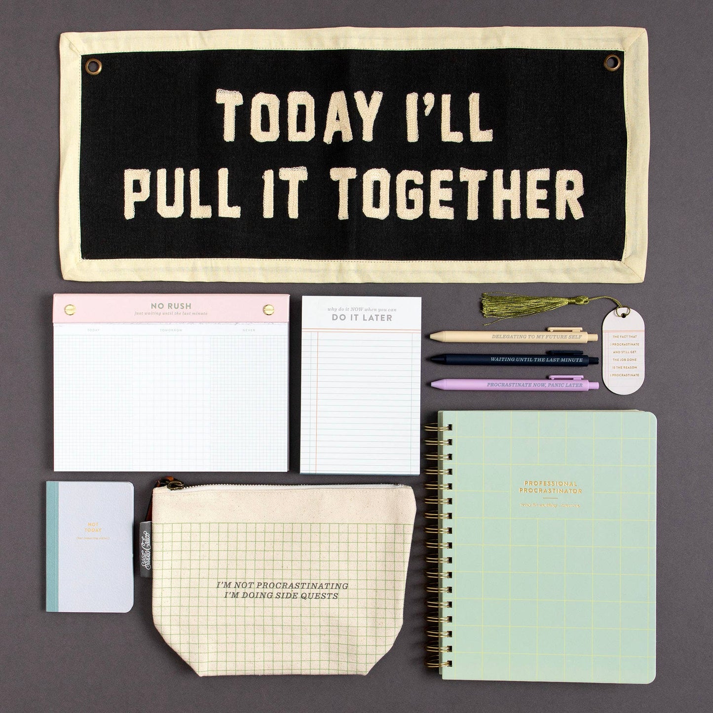 Professional Procrastinator Spiral Notebook