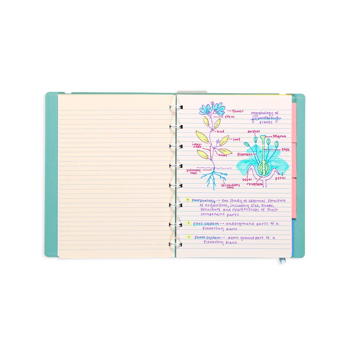 Writer's Duo Double-Ended Fountain Pens + Highlighters (Set