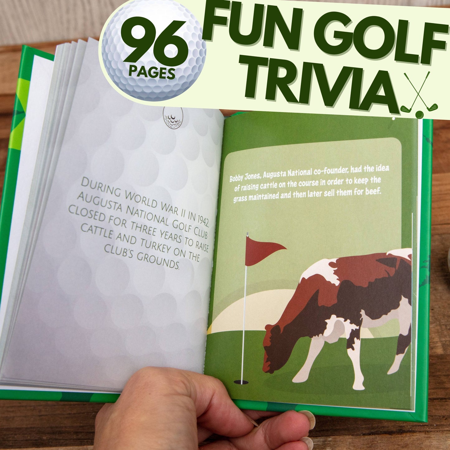 Putt It In - Novelty Golf Gift Books - Men's Gifts