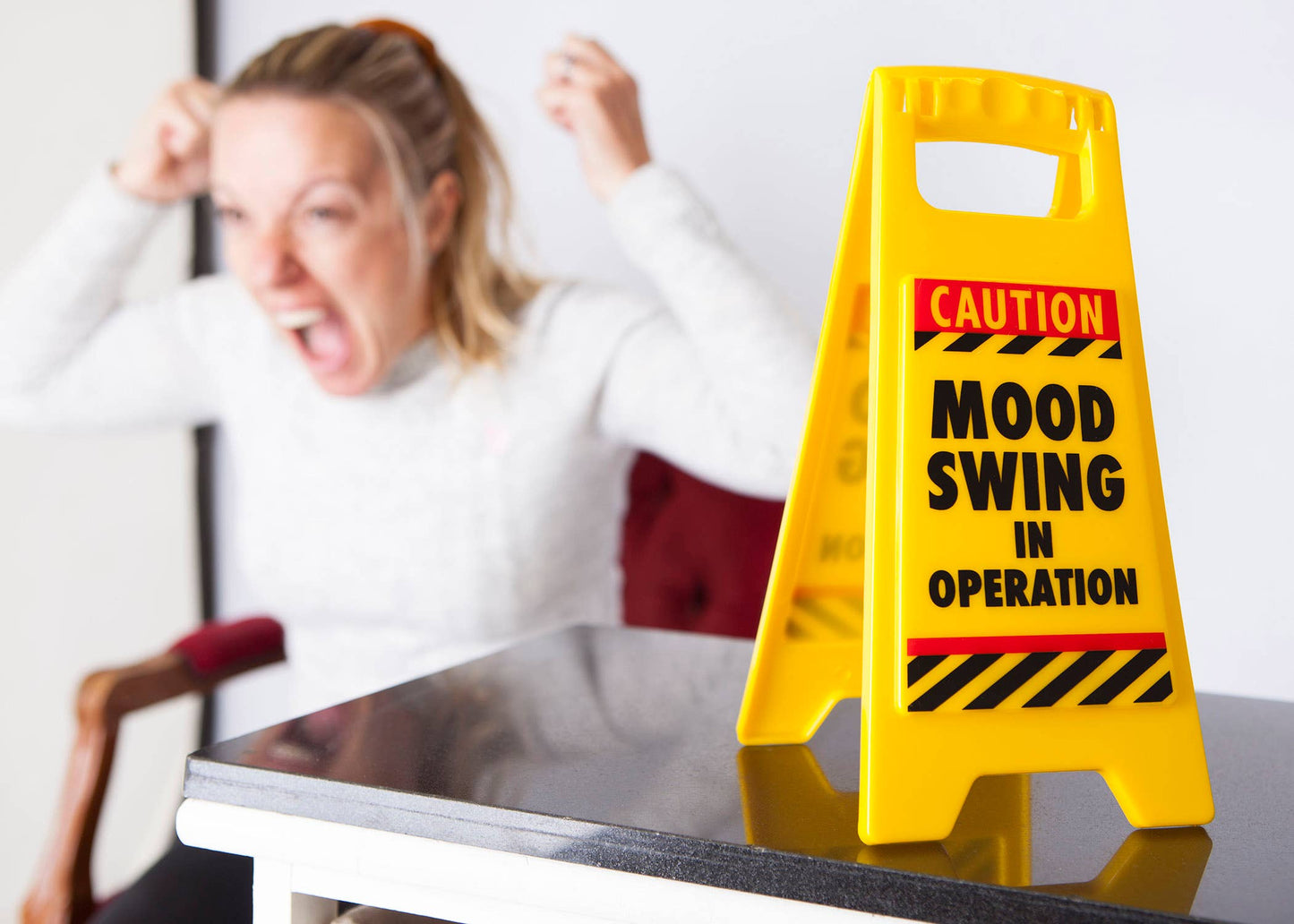 Mood Swing Desk Warning Sign - Novelty/Gag Gifts For Adults