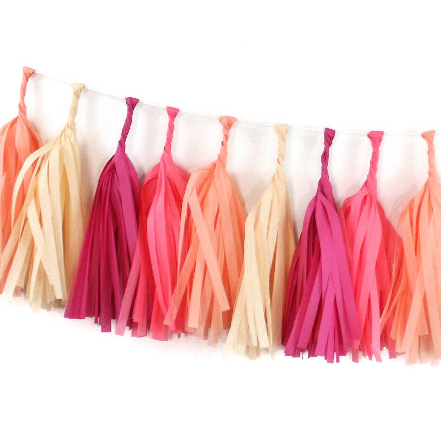 Macaron Tissue Tassel Kit