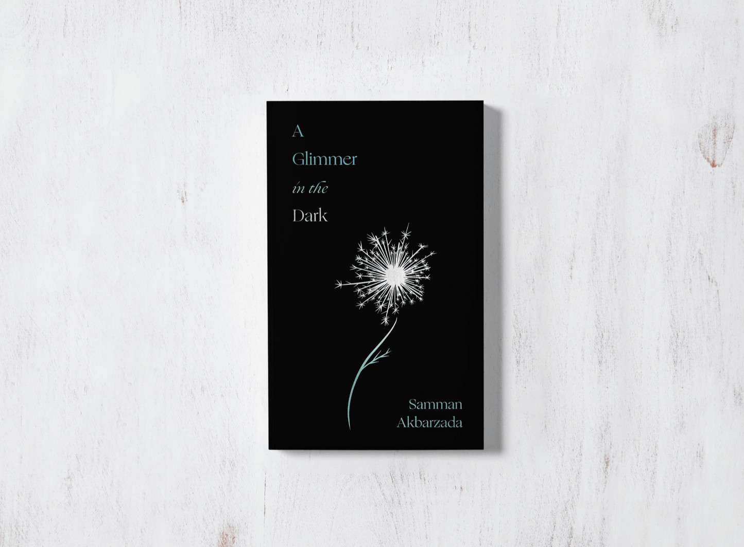 A Glimmer In The Dark - book