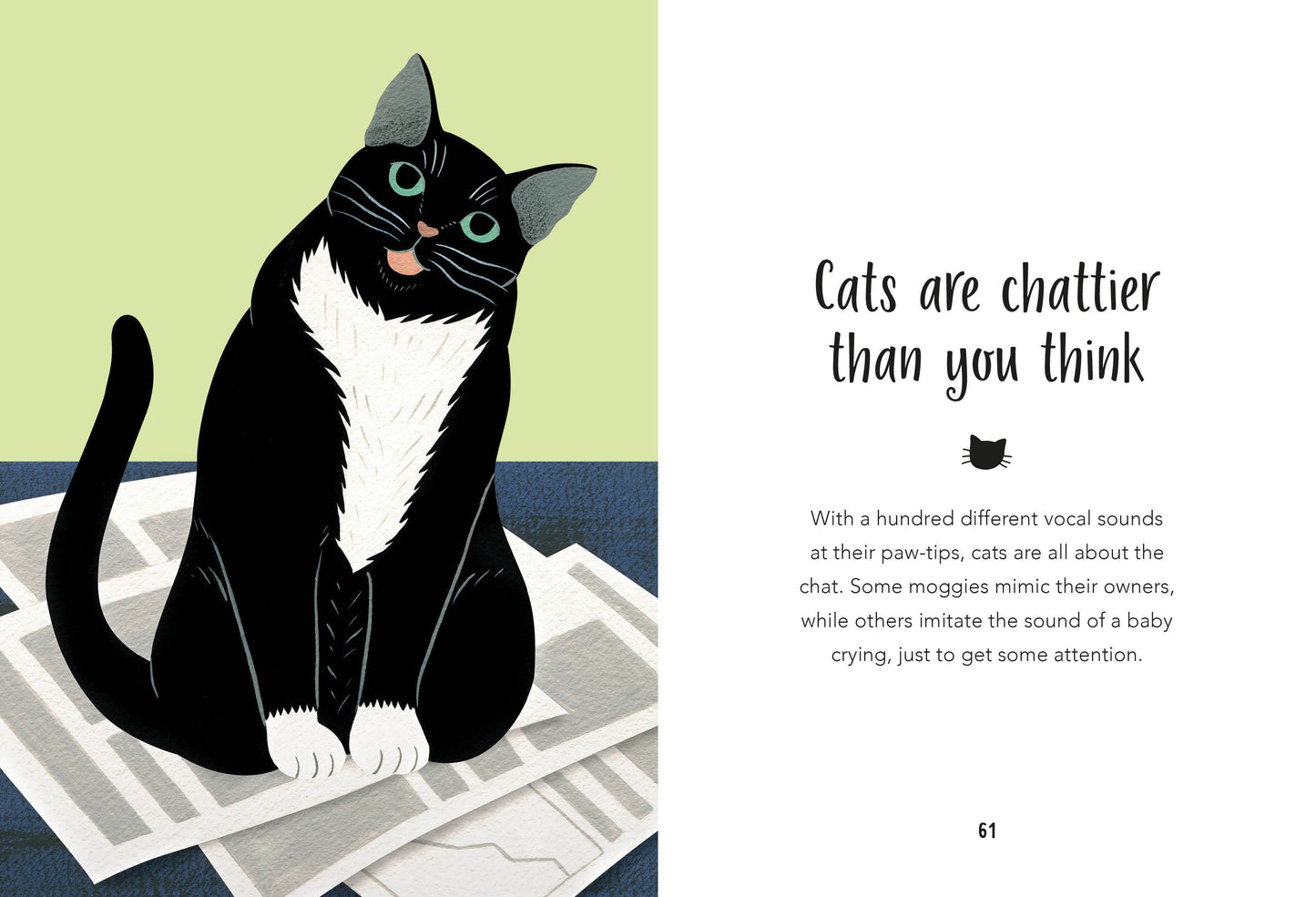 59 Things You Should Know About Your Cat